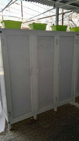 انکوباتور
