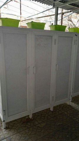 انکوباتور